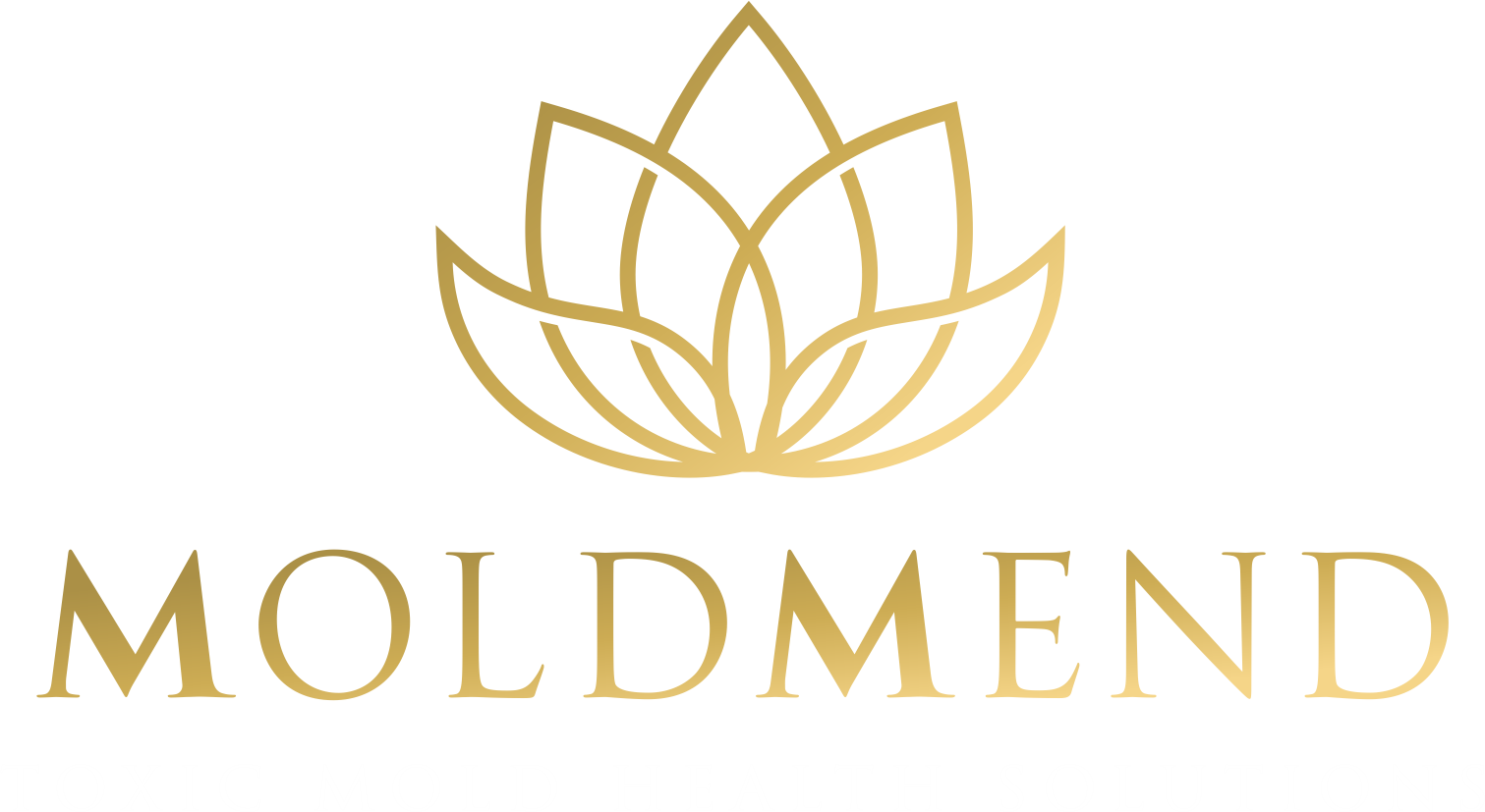 MoldMend™